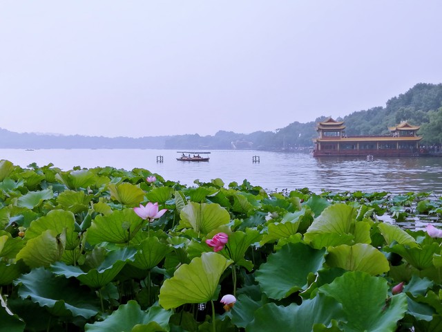 浙江最值得去的旅游景点排名,浙江旅游必去十大景点排名最新
