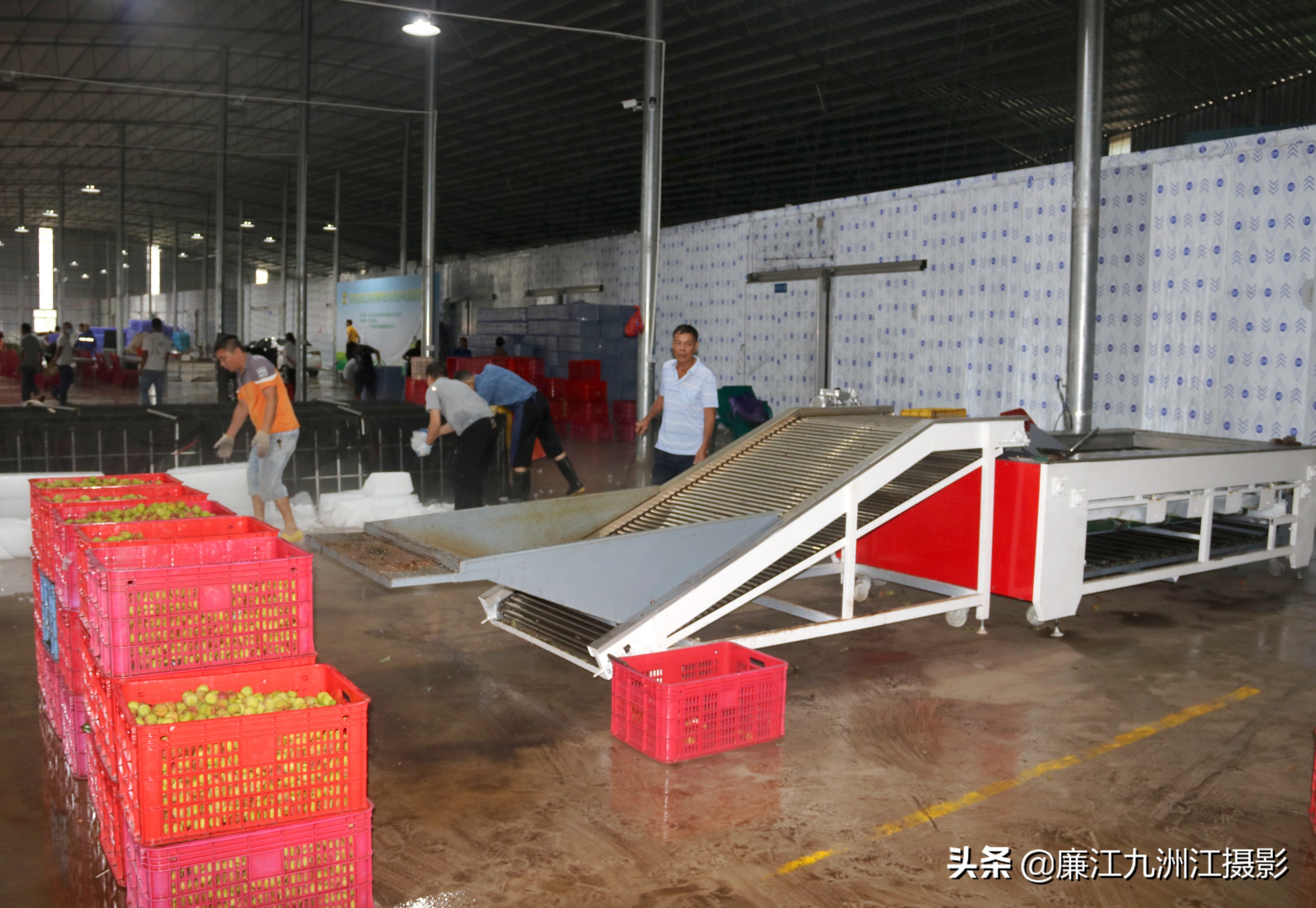 廉江吉水绿之源合作社,廉江市绿之渌分拣中心