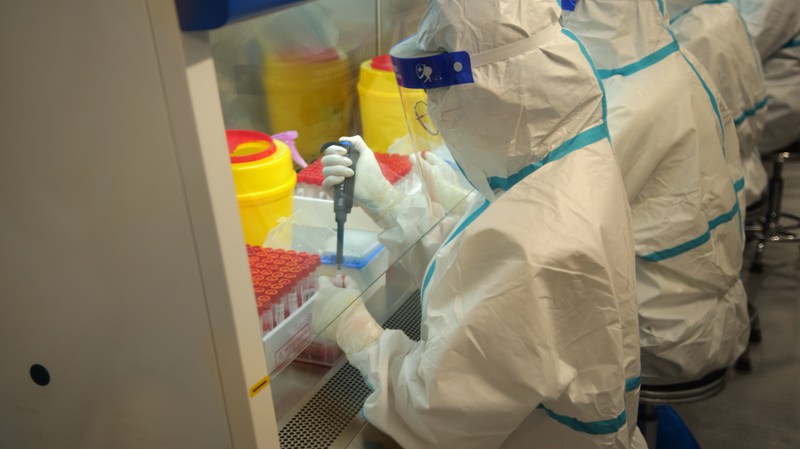 核酸检测为啥都投资1000万,核酸检测挣了多少