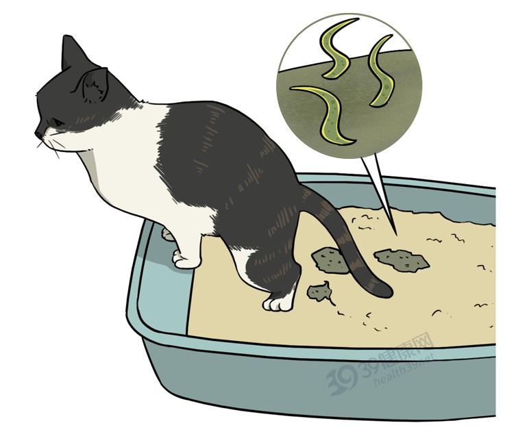 区分福寿螺肉与田螺肉,福寿螺吃不吃田螺