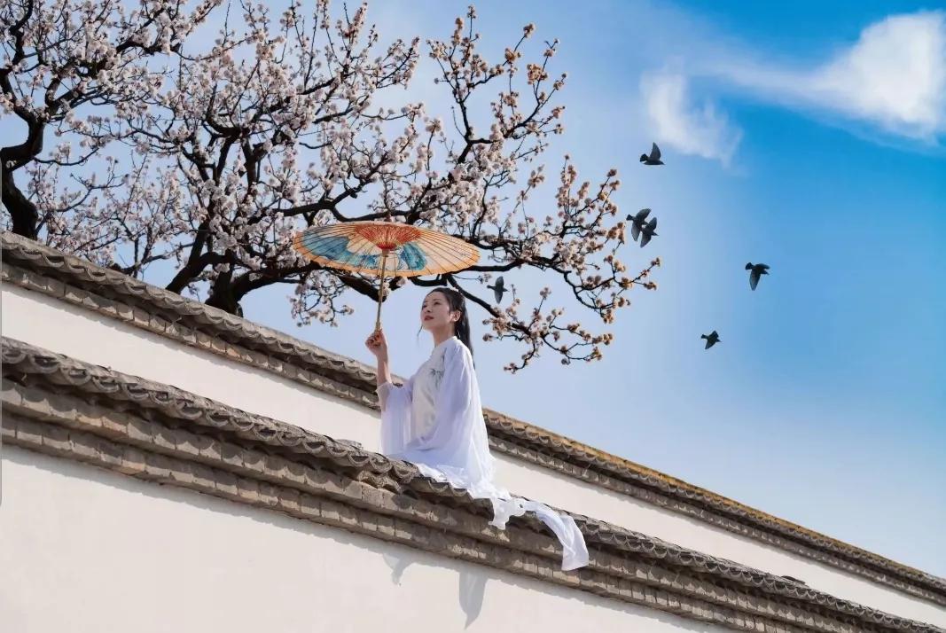 杏花古诗词经典唯美名句,七首杏花诗词惊艳了整个春天