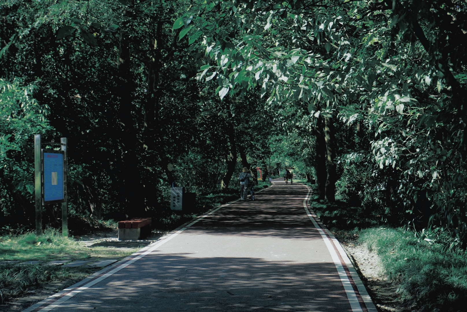 微单：SONYα6000手机：XIAOMIMIX4记录我的美好时刻