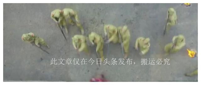 胸罩*点露**，花式泳衣，这些辣眼睛的操作，导演肚子里没一点墨水吗