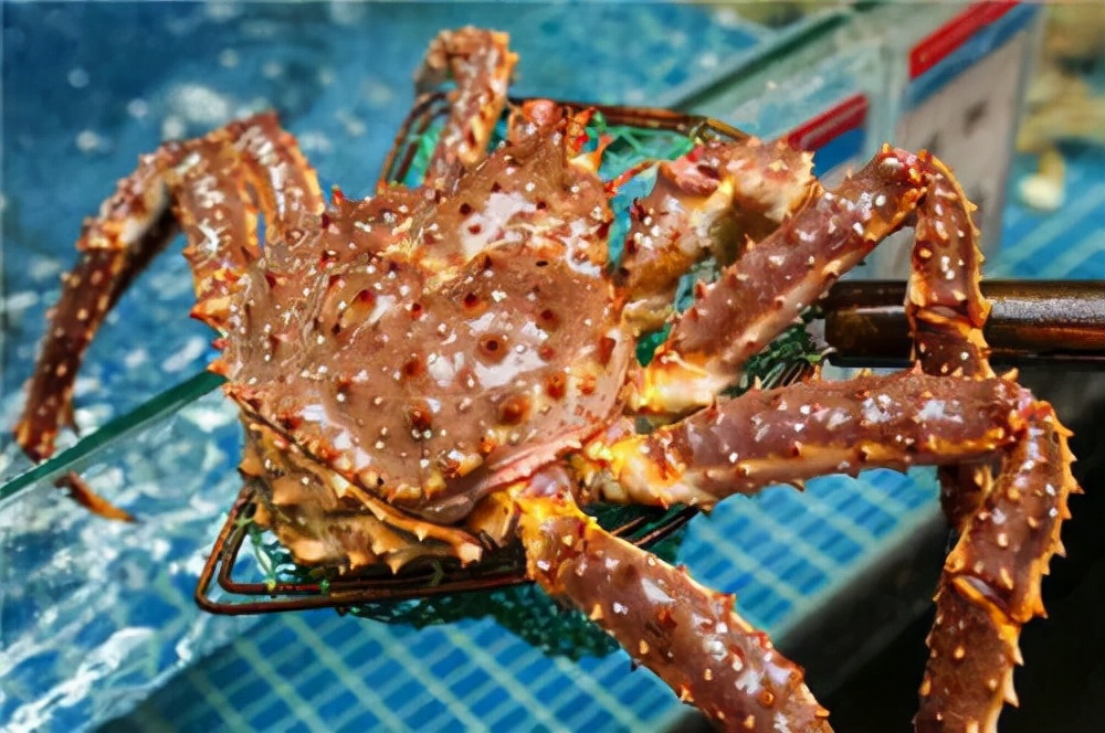 一年工作15天工资50万,一年赚28万工作一周40小时