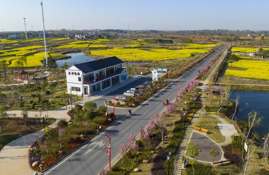 孝昌县重大项目集中签约,孝昌招商引资开工项目