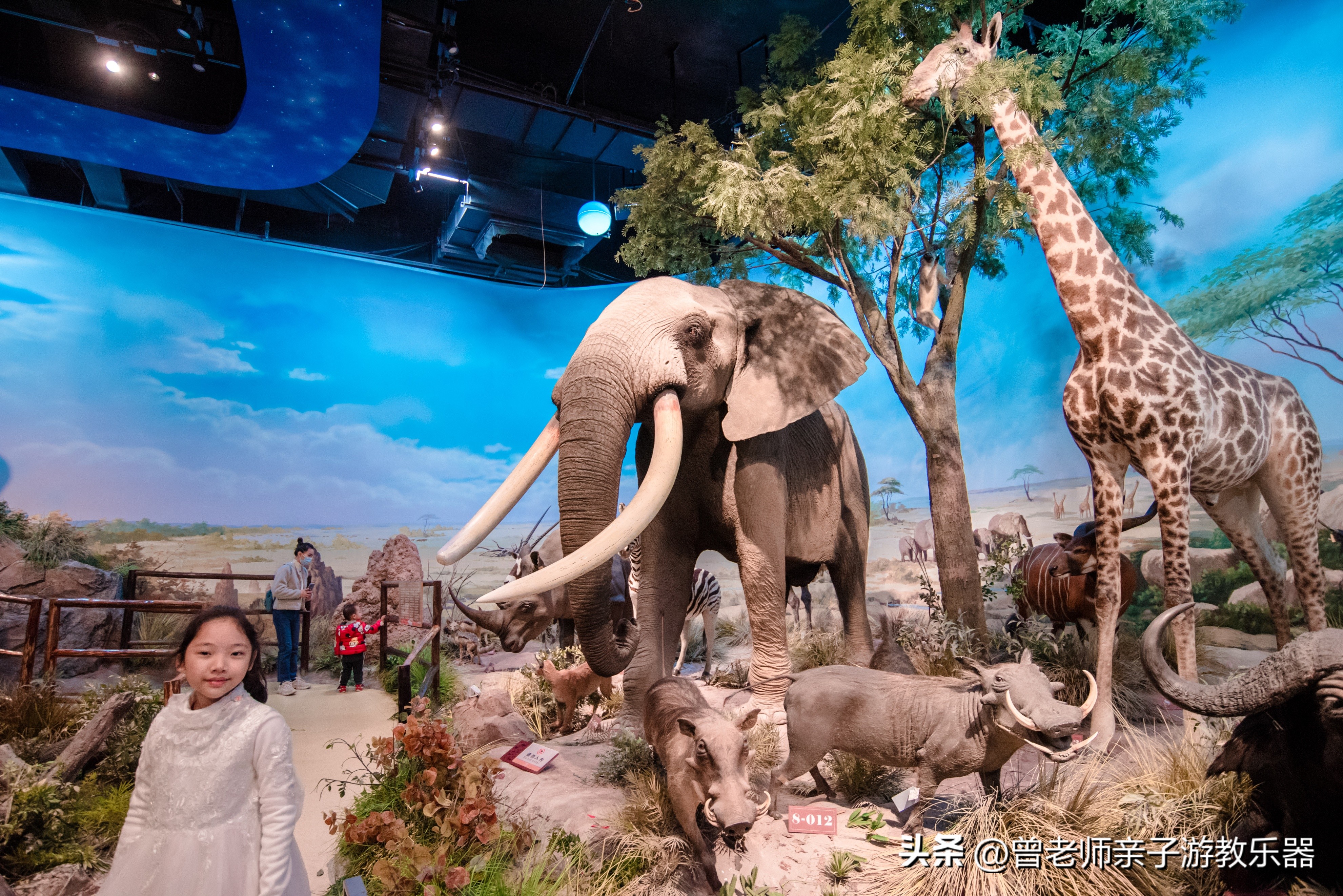 西安2023旅游攻略,2023年西安必去景点