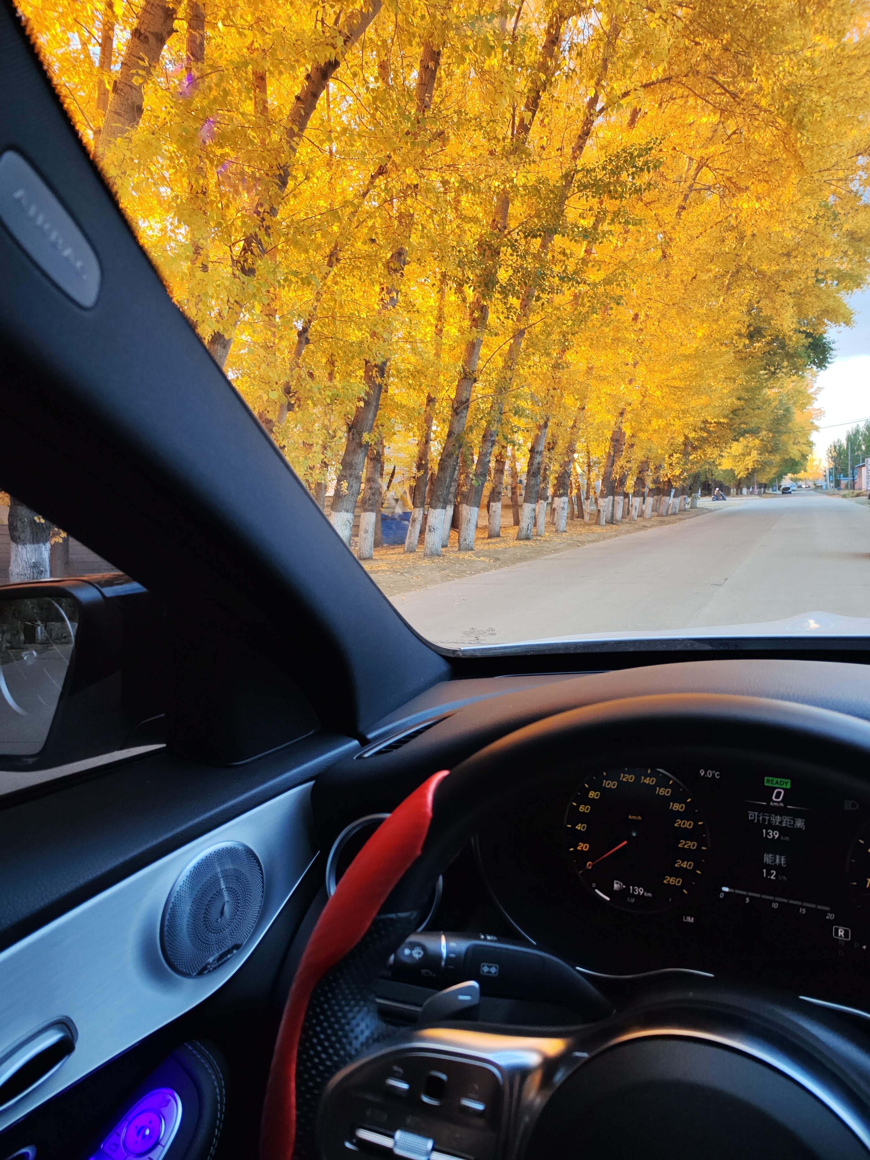 必看）北京车牌号是真不好摇，难道您都怀疑人生