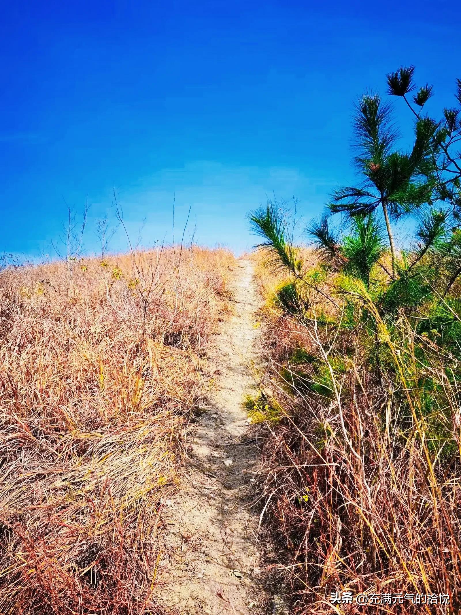 武汉龙王尖是野山吗,龙王尖和云雾山