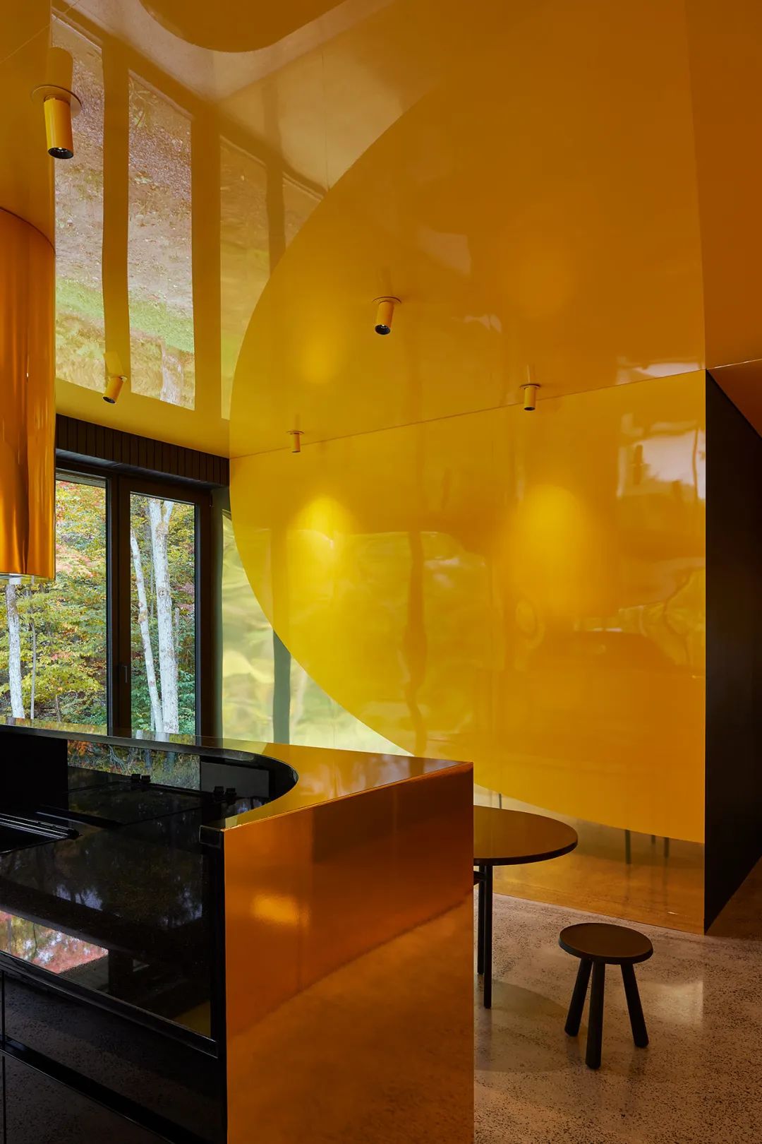 他们把家搬到了森林里，一间森林