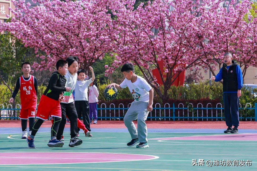 美！潍坊校园春景强势来袭