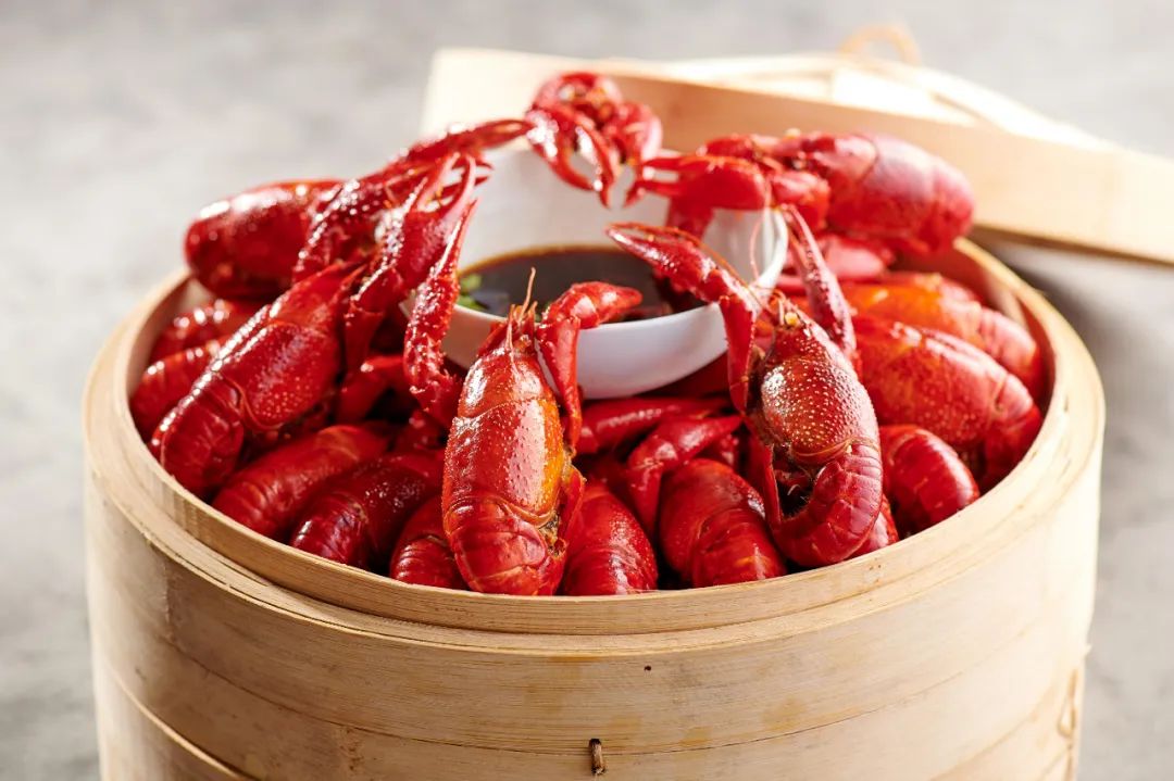 小龙虾怎么选择才是最好的,小龙虾怎么养活得快又好吃