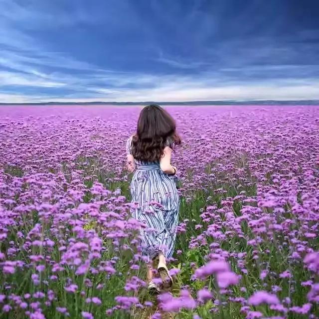 云南避暑旅游好去处推荐,云南避暑有哪些景点好玩