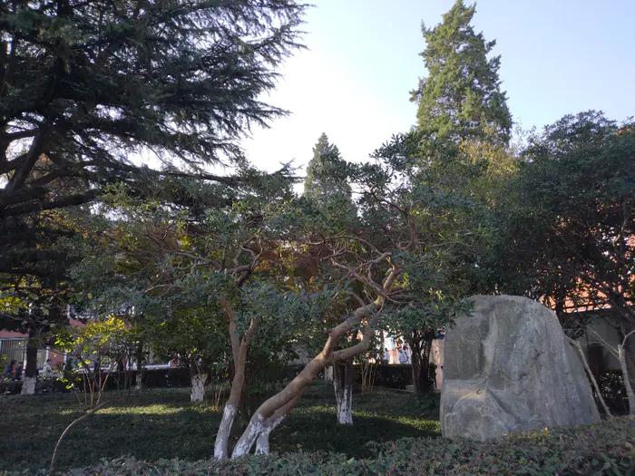 画与景,幼儿长卷画景