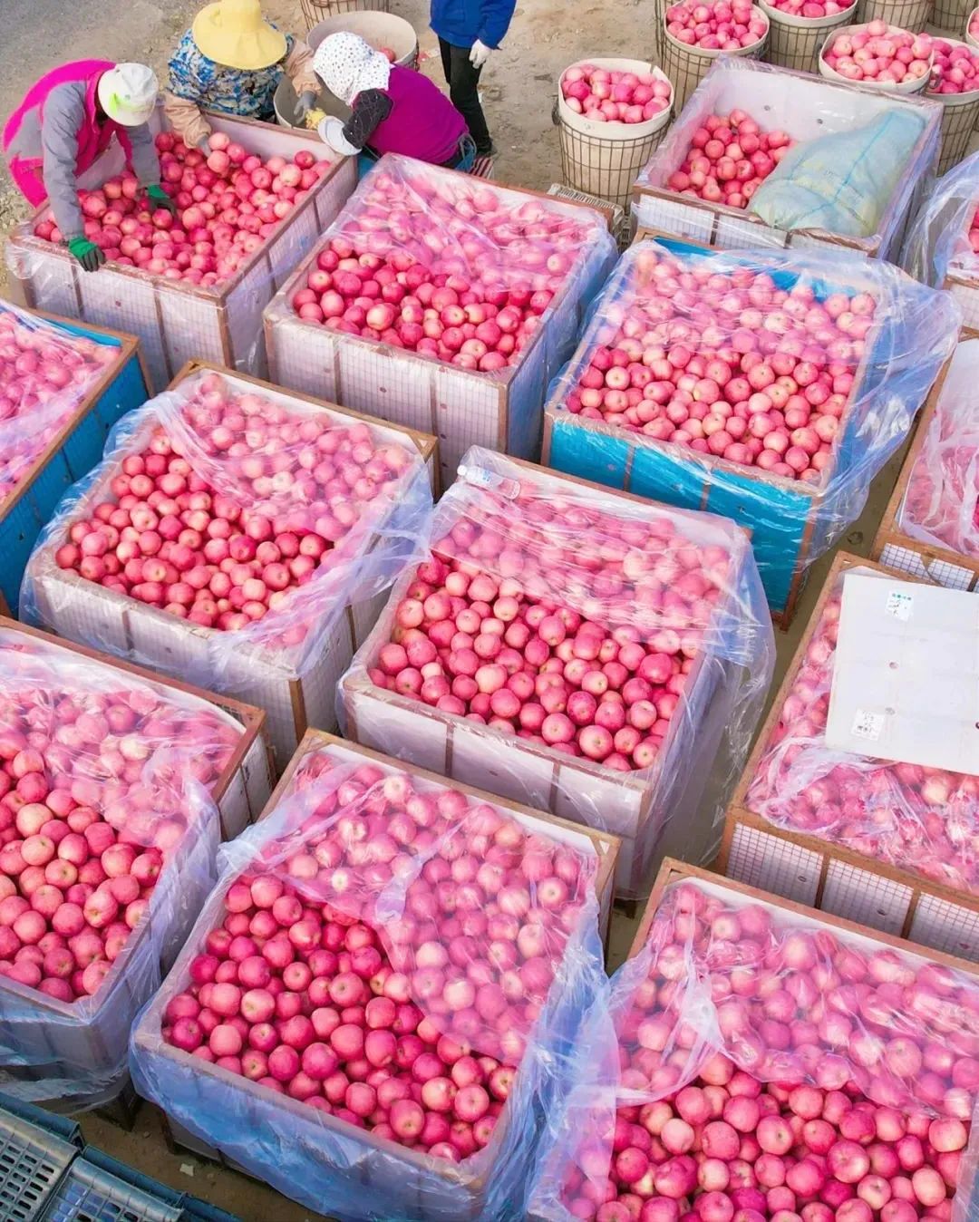 北纬37度一座神奇的城市,北纬37度神奇之地