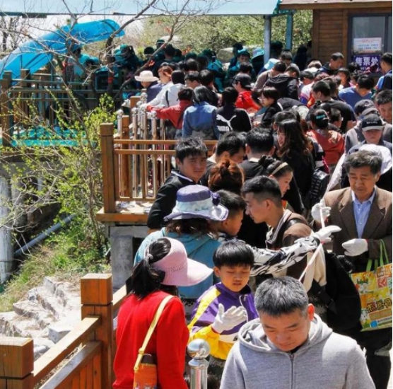 大批英国游客来到中国的目的,大批英国人进入中国旅游