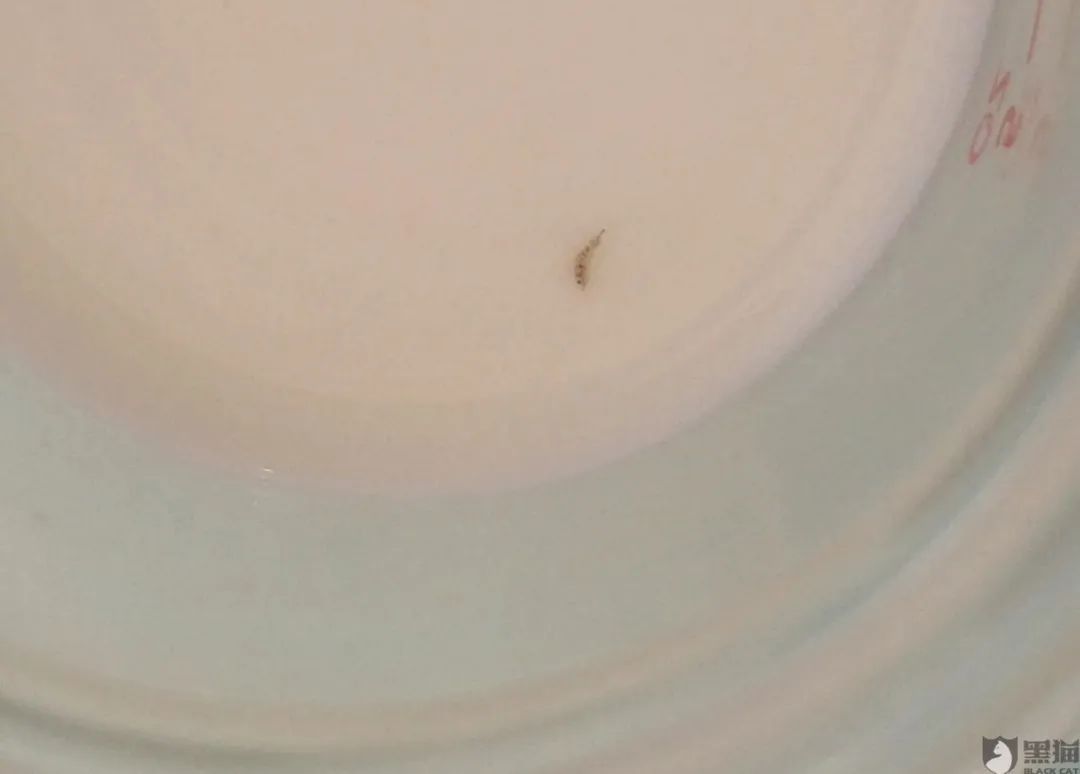 谁在说谎?爱他美婴儿奶粉生虫真相