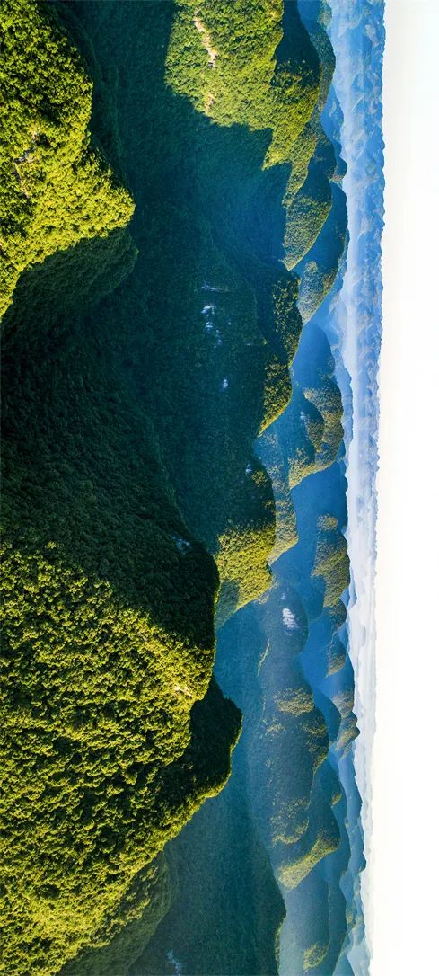 绿色狂想曲,绿色狂想曲三年级