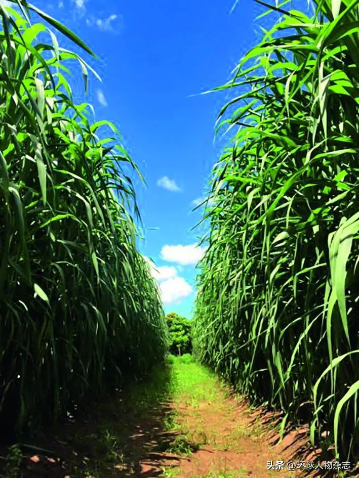 这位二十大代表常年在一线摸爬滚打，参会“穿正装不自然”