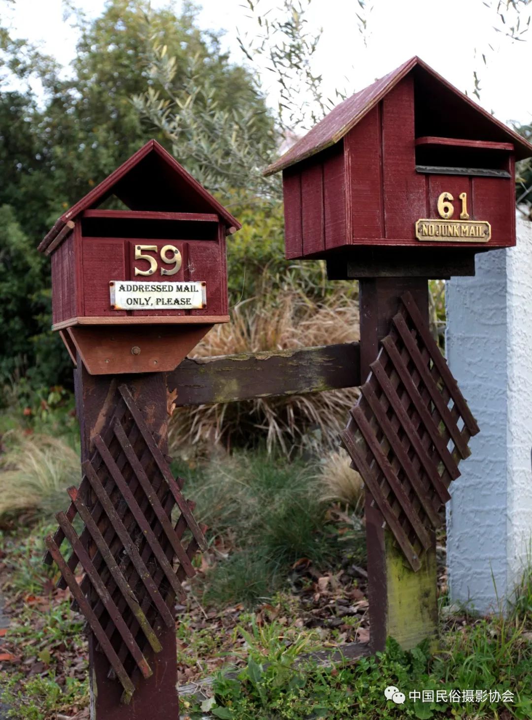 中新建交50周年｜“人类贡献奖”年赛中的新西兰民俗故事