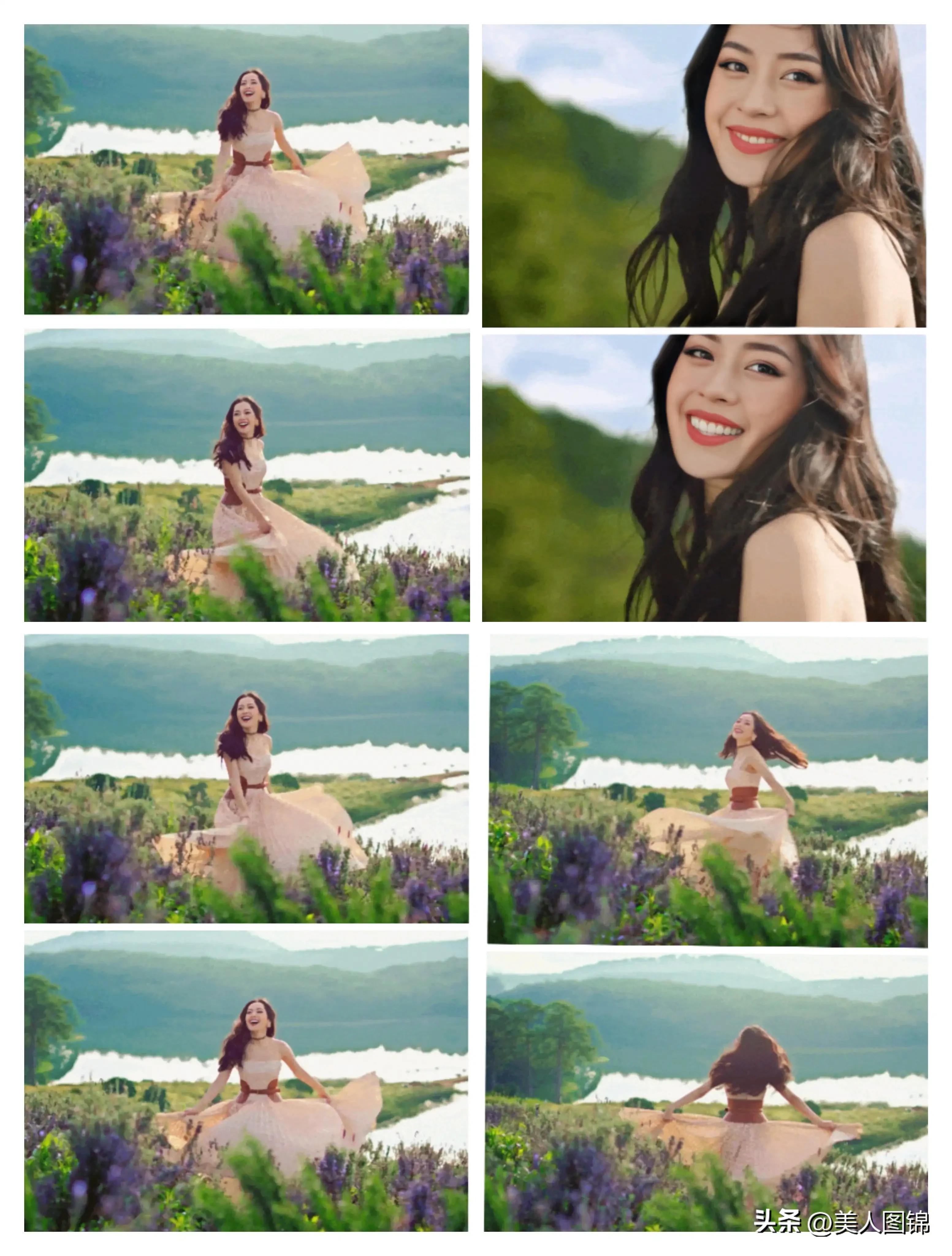 越南芝芙,芝芙越南