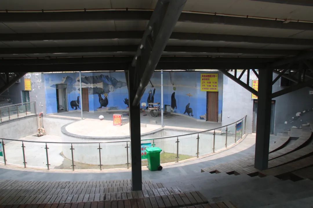 邢台动物园变大了没,淮安动物园开发时间