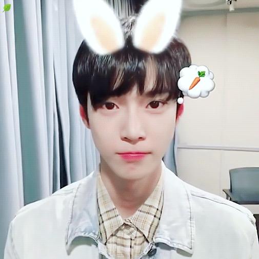 漂亮的兔牙圆脸女明星,十大兔牙的女明星