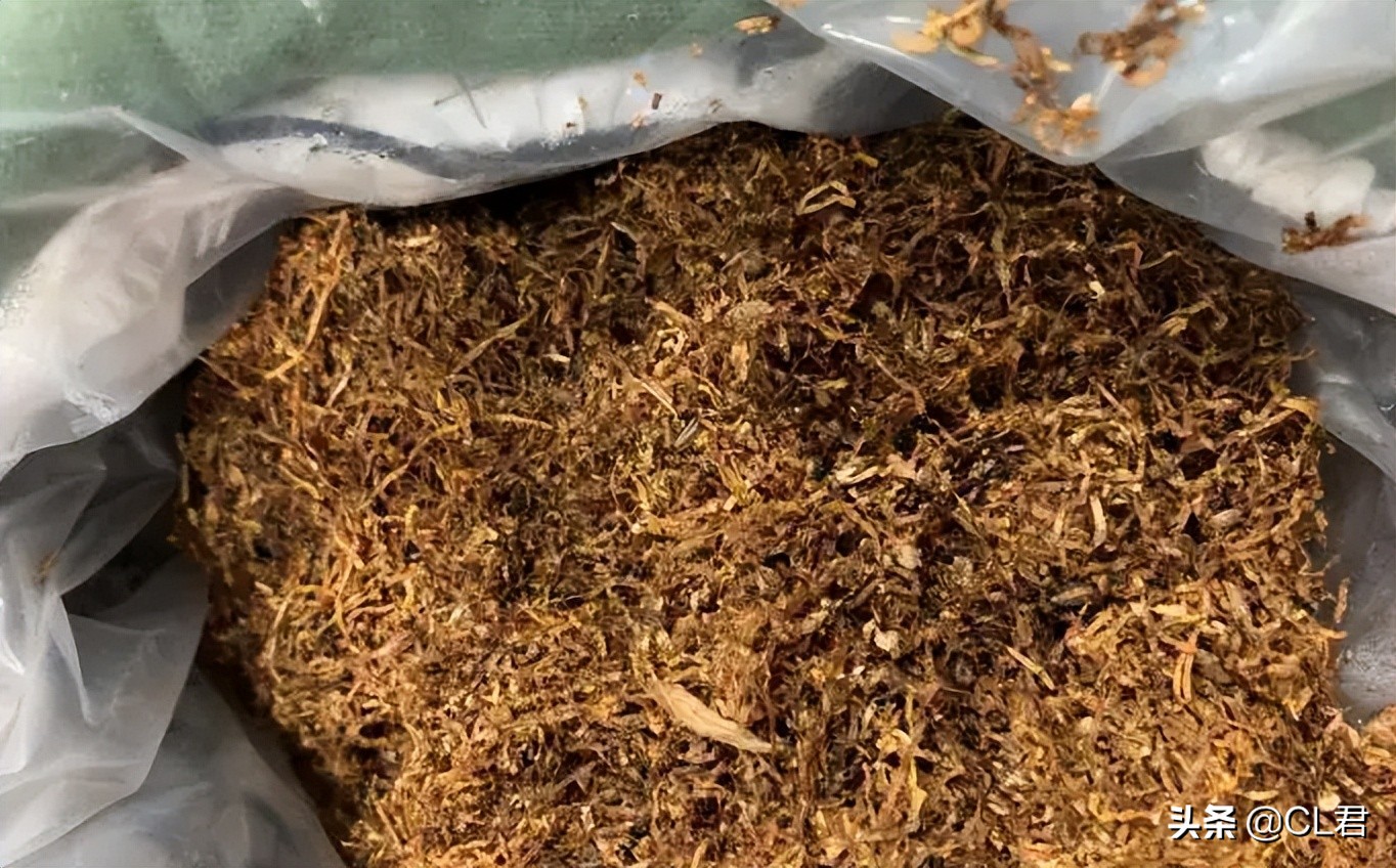 阳台种菜菜青虫打什么药,种菜有小虫子有什么办法解决