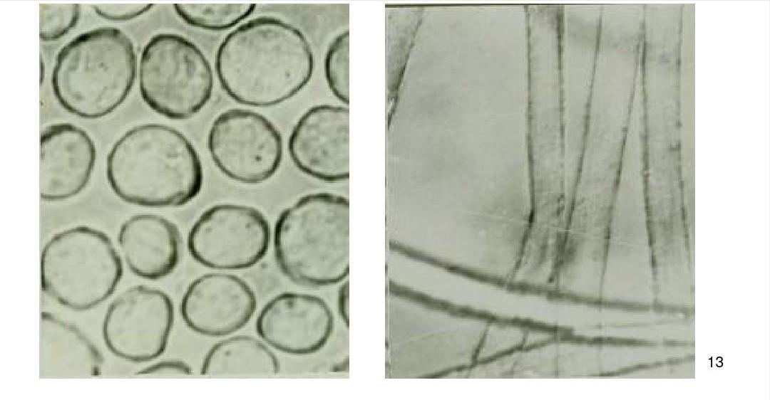 聚酯纤维需要纺织吗,聚酯纤维面料防晒吗