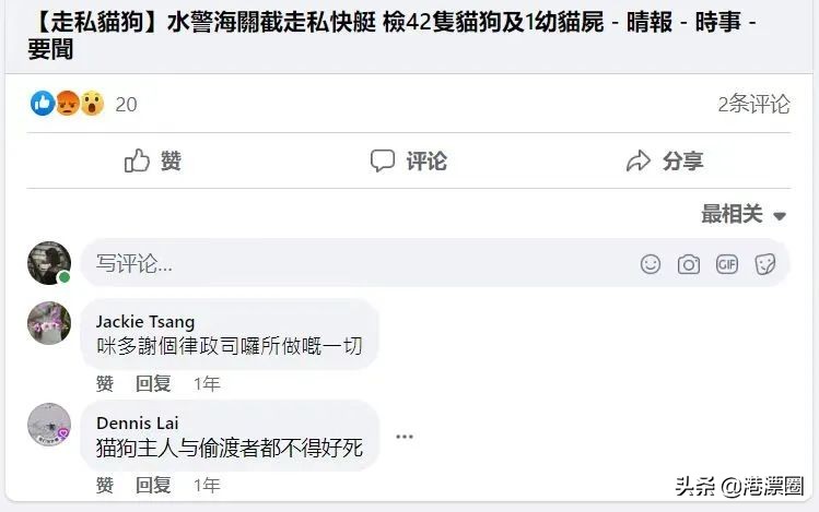 我从内地偷渡到香港的宠物，半路被水警抓走了