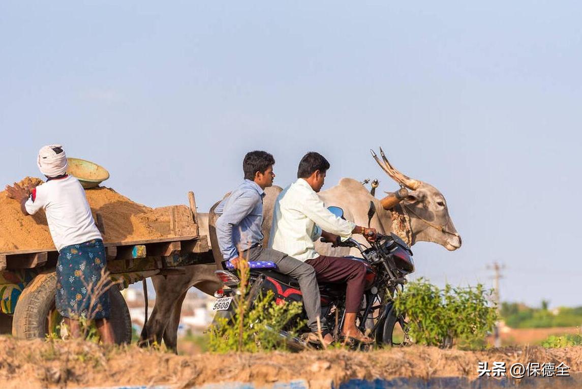 印度股市市值再次创新高,印度股市晋升全球第四大股市