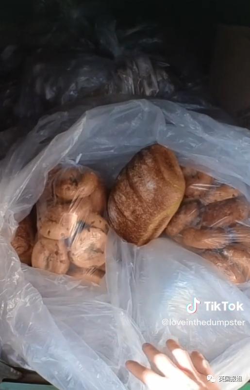 美国捡垃圾收入,美国夫妇垃圾箱寻宝