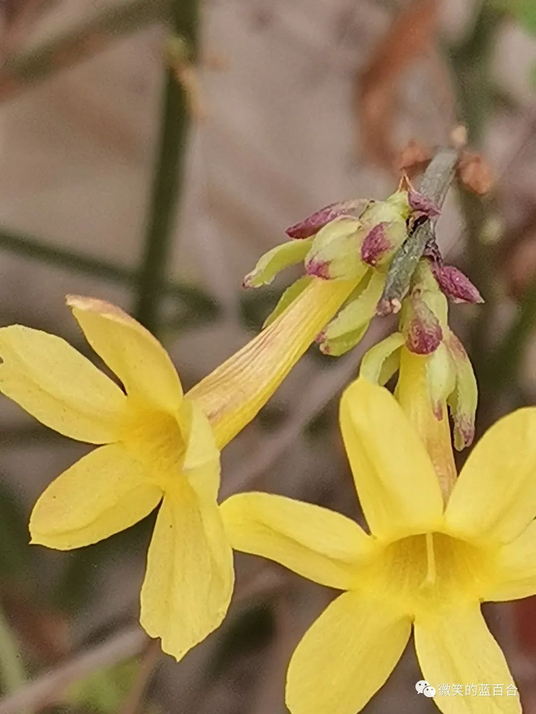 生命的美好，源于人间烟火里的那些认认真真