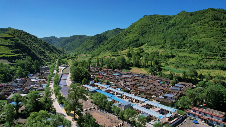 杨家山美丽乡村建设,武山杨河镇乡村振兴