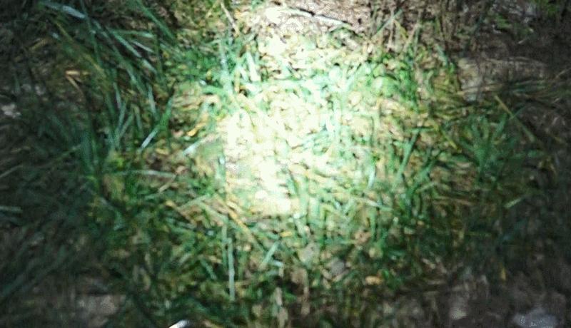 纳拓雷电电弧防身手电筒拆解,纳拓电弧防身手电电压多少