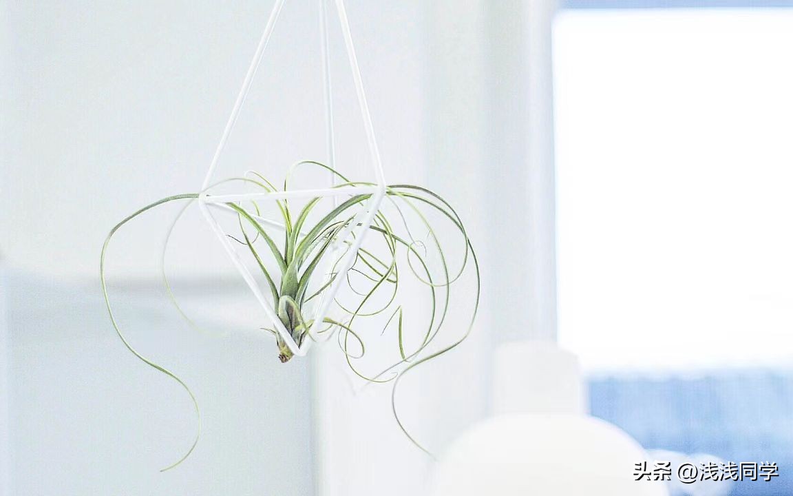 100个省钱的小窍门视频,省钱技巧100个小妙招