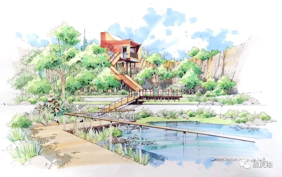 2022猫虎绘暑假手绘班招生简章「线上+线下」