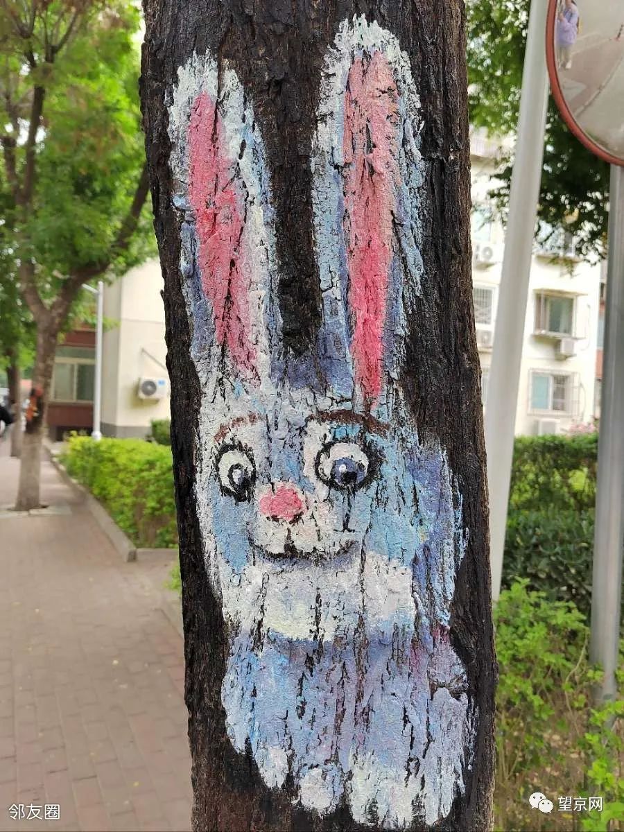 blueglass酸奶望京,blueglass酸奶望京凯德