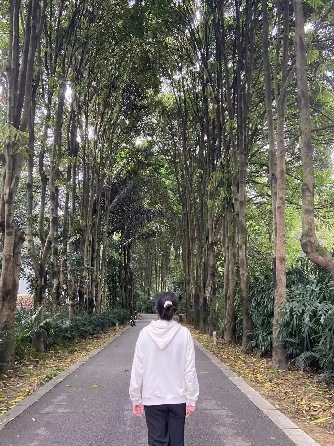 如何成为一名优秀的穿搭师,如何找到适合自己的组搭子