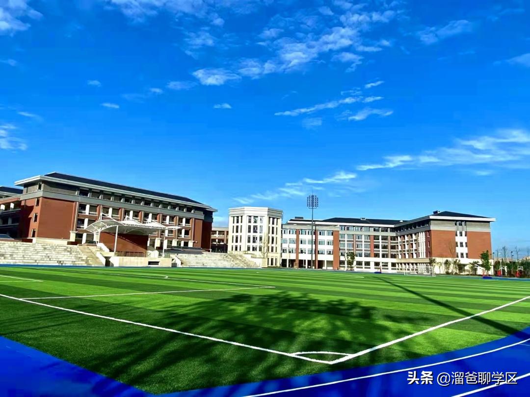 青羊新城哪个片区发展潜力大,青羊新城板块图