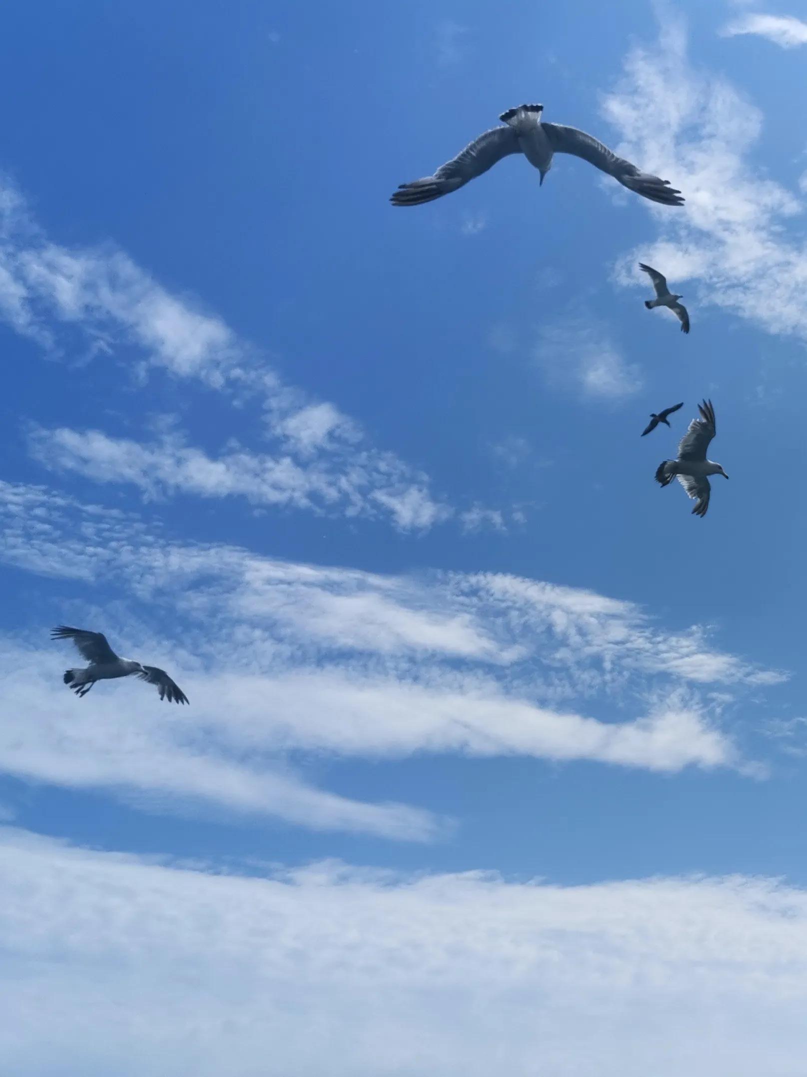 中山广场大连老视频,大连中山广场百年沧桑