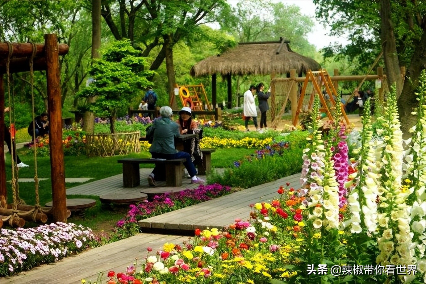 盐城最大的海边城市,盐城海岸线为何一直延伸