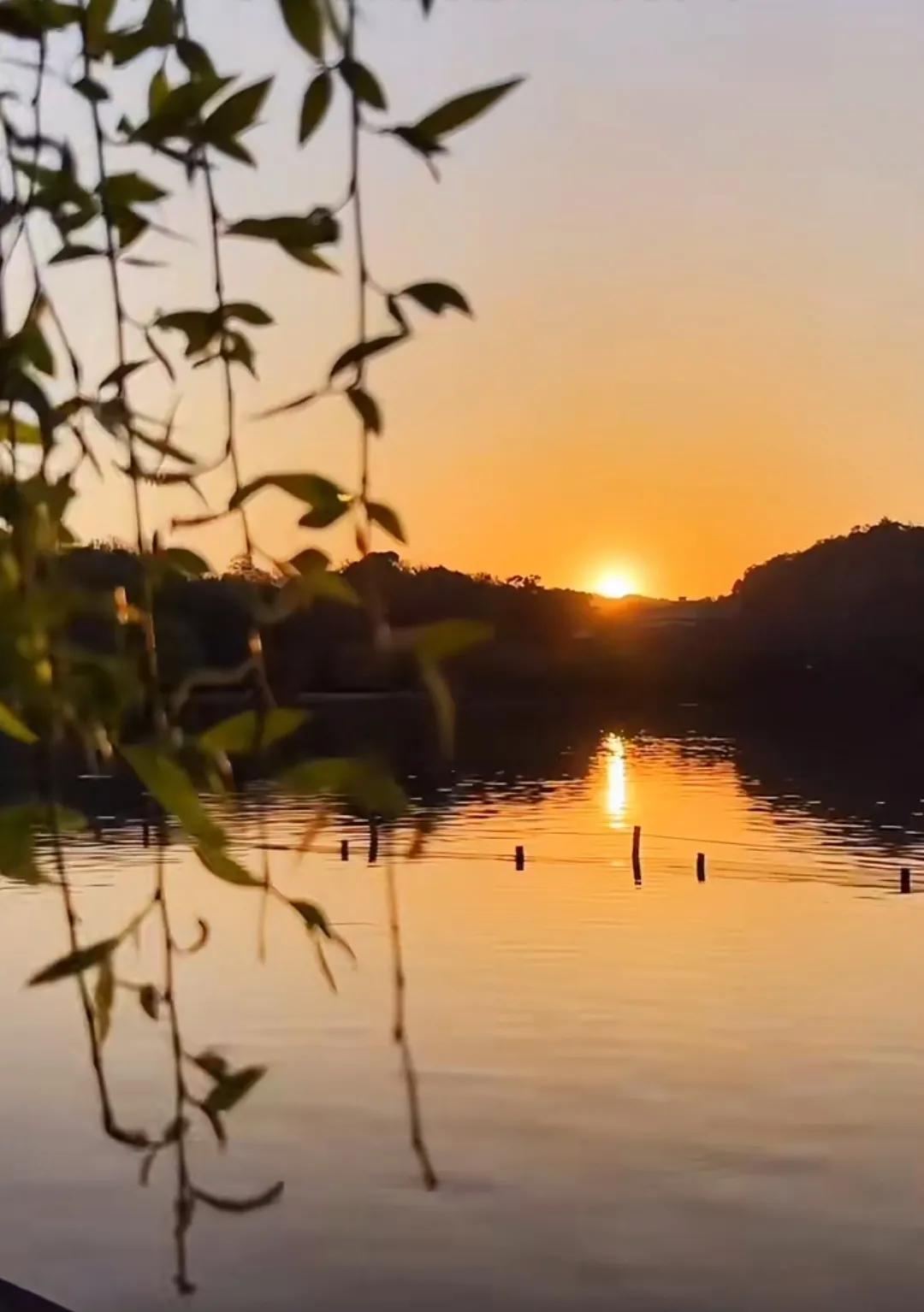 七律湖边夜景,常记溪亭日暮的下一句