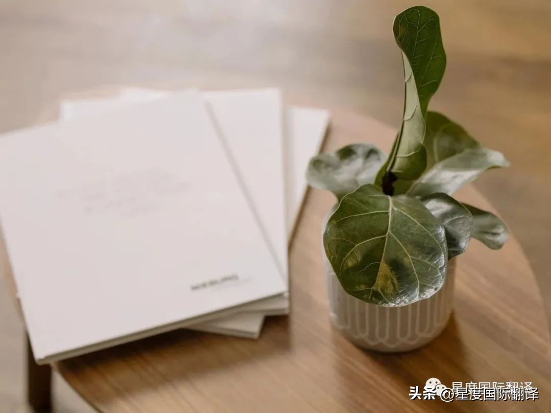 法国留学语言条件,求解答法国留学的选择专业问题