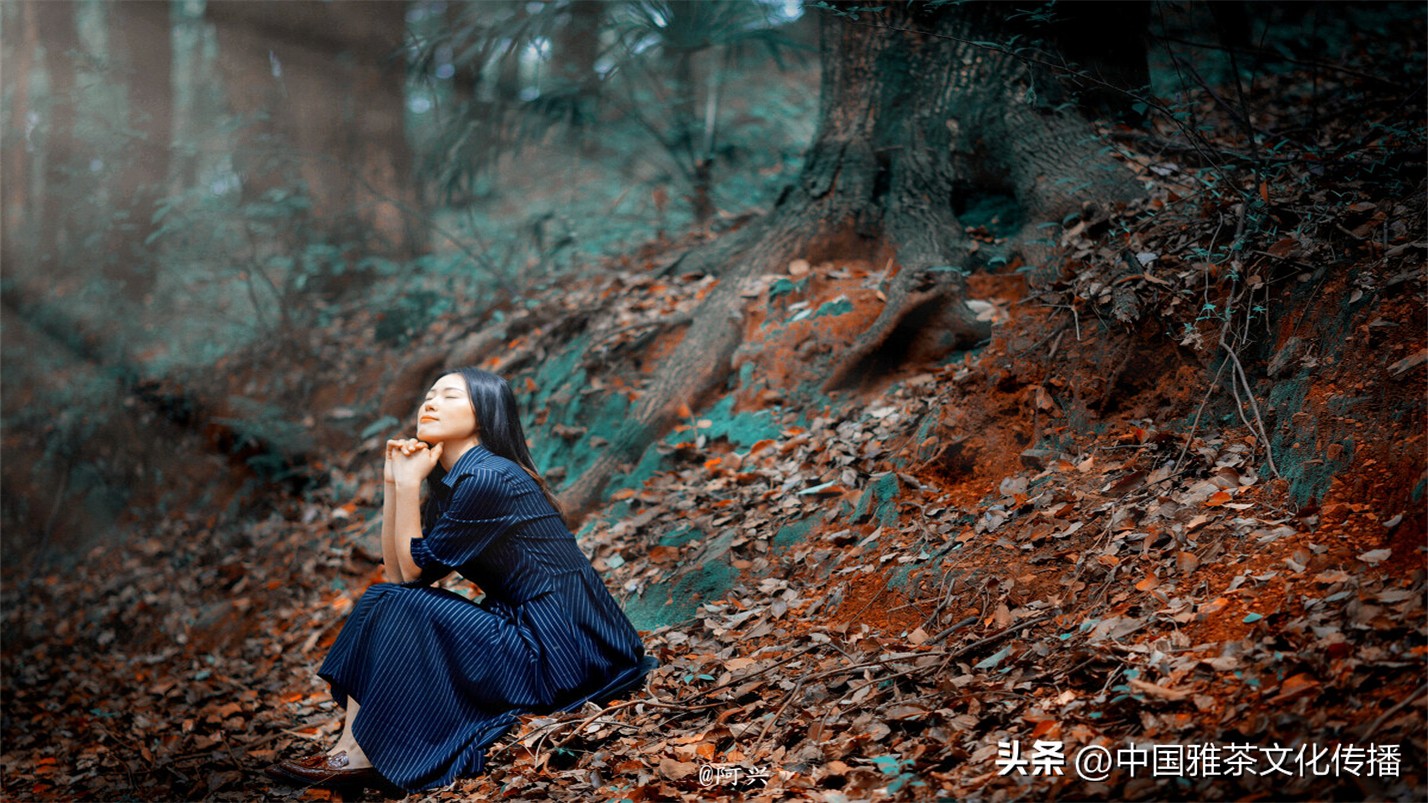 世事浮华岁月喧嚣,岁月如歌谁与共浮华若梦