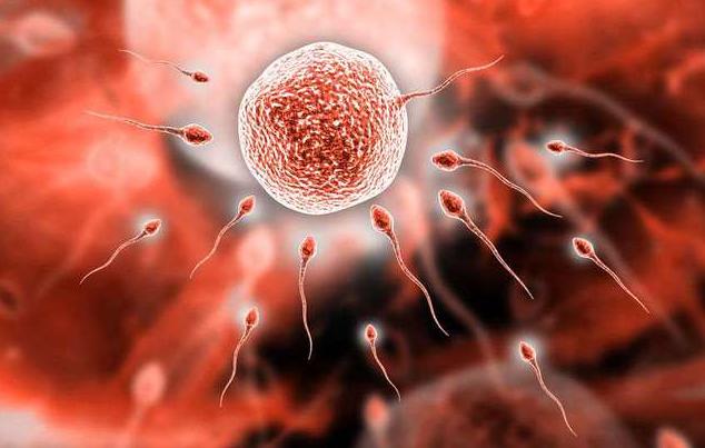 21岁女子确诊宫颈癌痛哭自责,23岁女子外阴癌前病变