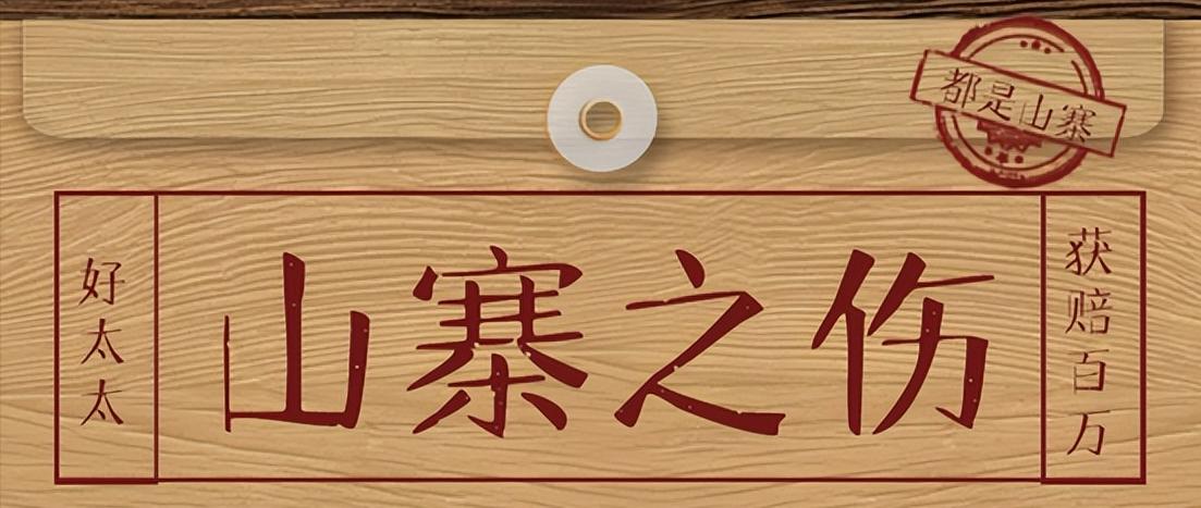 三大山寨油烟机,2024年十大山寨家电品牌