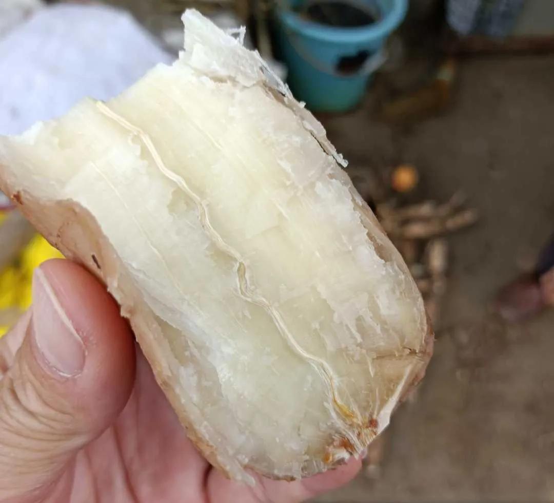 新湾乡车氏宗祠,车氏祖祠修缮