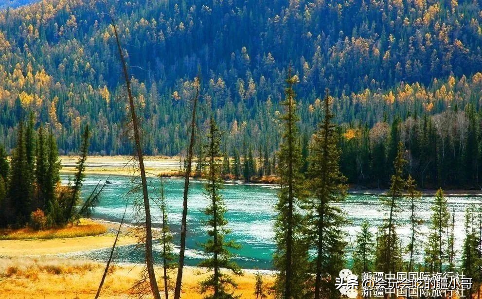 2023国内最适合秋游的地方！退休必看、人少实惠！去了就不想回家