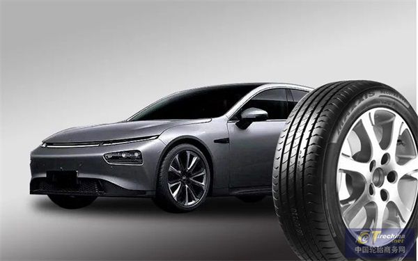 领跑2022！玛吉斯PCR经销商答谢会火爆开场