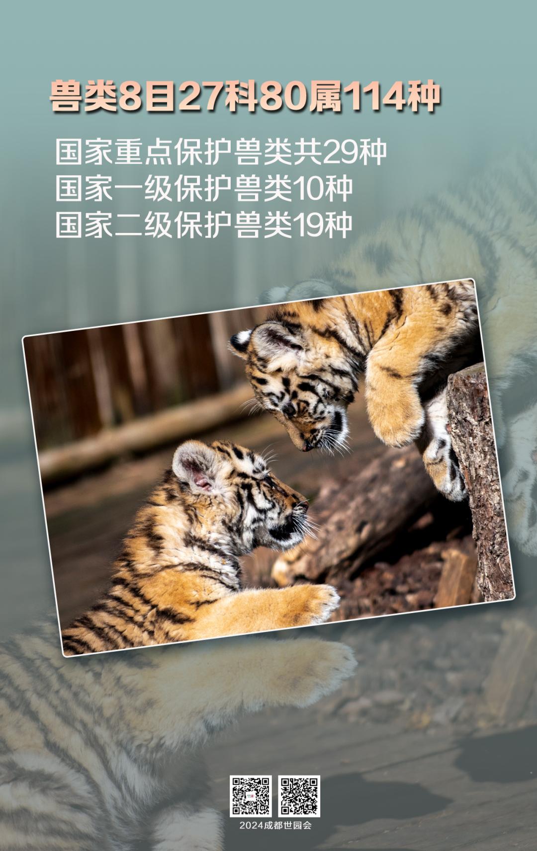 来认识下成都的生物“家底”→